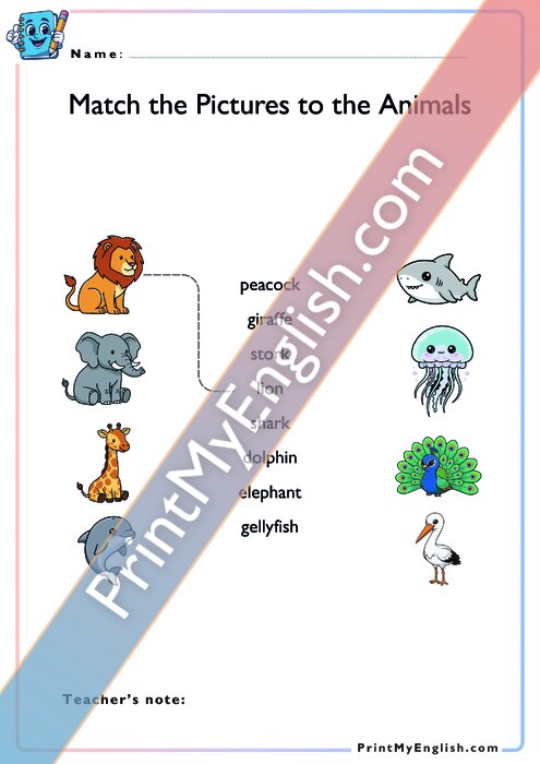 Match the Pictures to the Animals