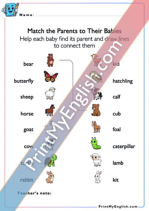 Match the Parents to Their Babies