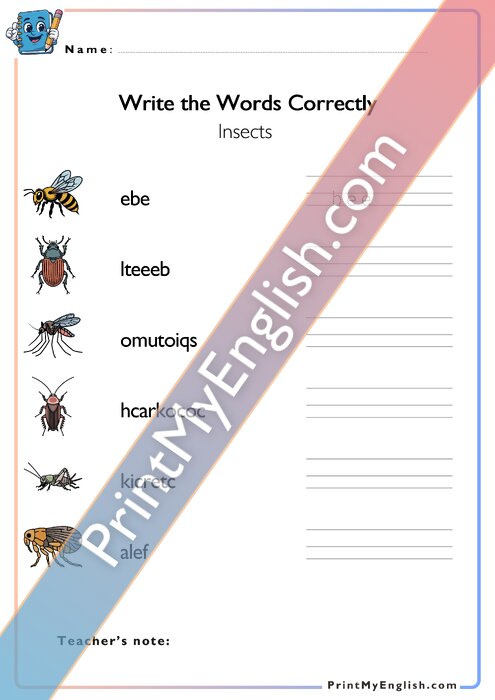 Write the Words Correctly - Insects