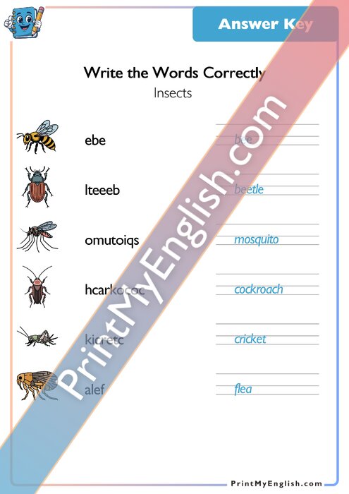 Answer key