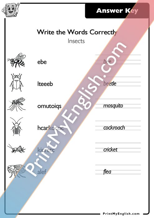Answer key
