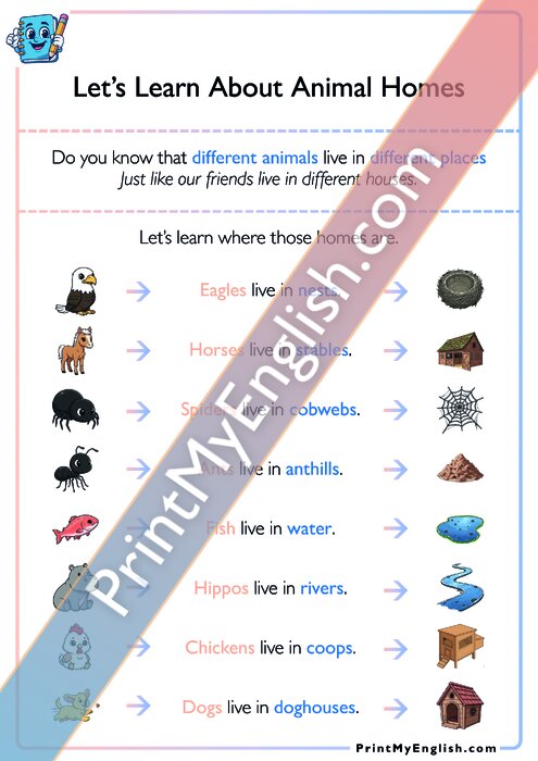 Let's Learn About Animal Homes