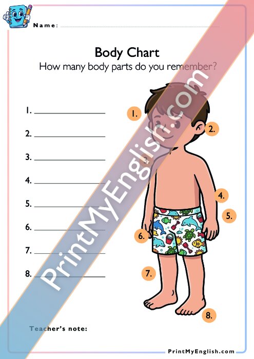Body Chart - Boy