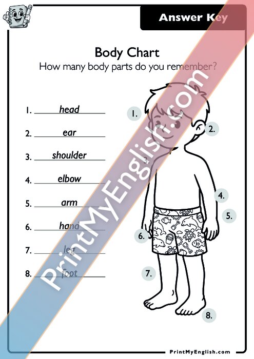Answer key
