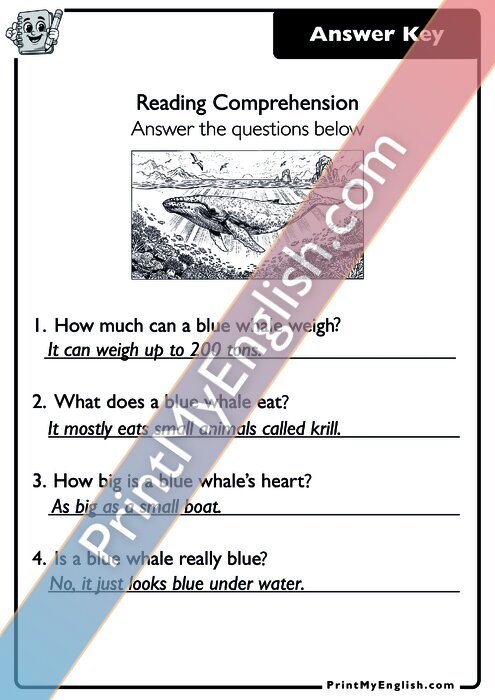 Answer key