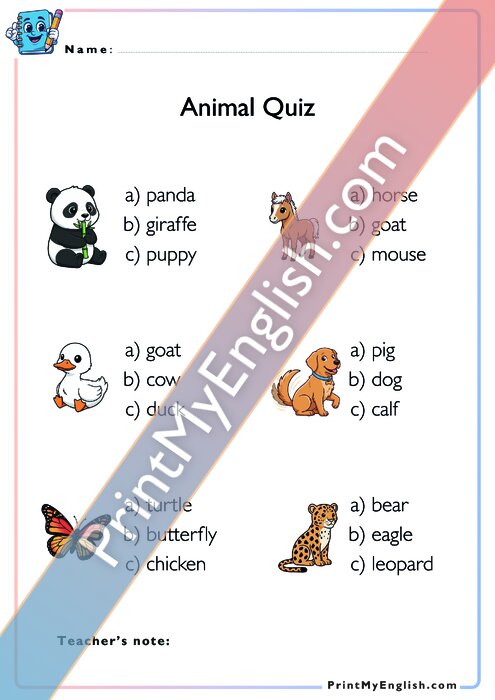 Animal Quiz