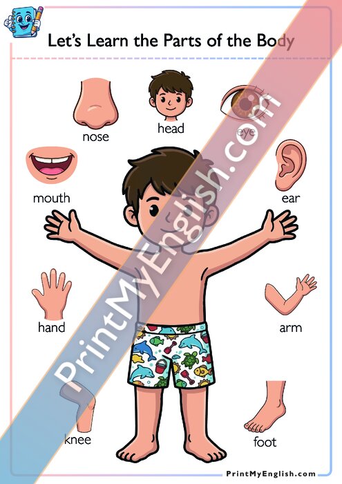 Let's Learn About the Parts of the Body - Version 2