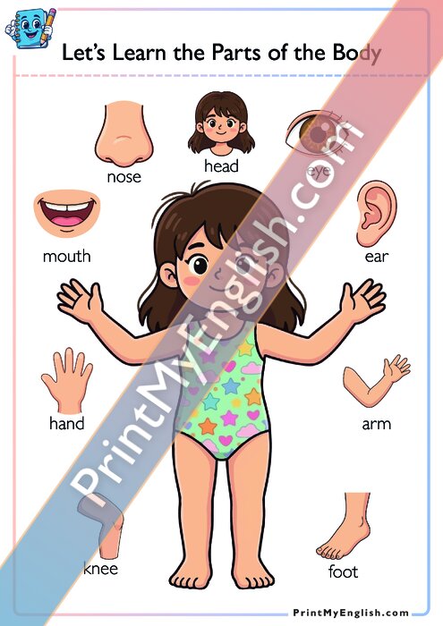 Let's Learn About the Parts of the Body Version 1