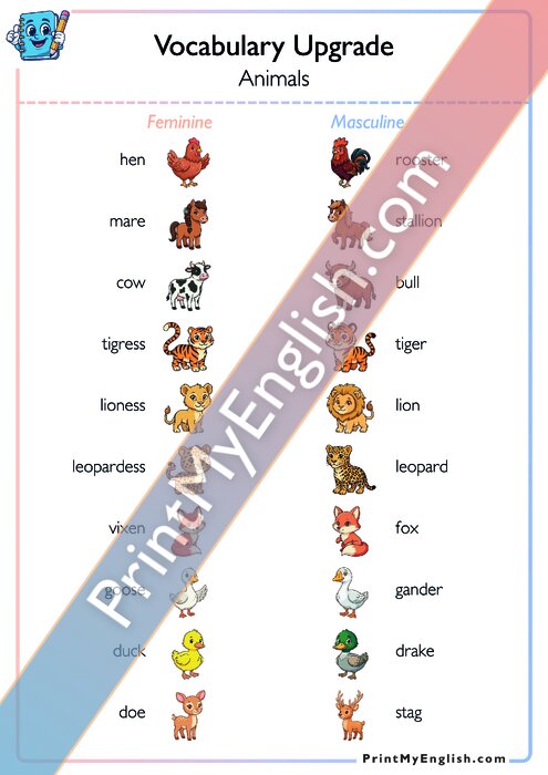 Vocabulary Upgrade - Pairs of Animals