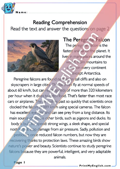 Reading Comprehension - The Peregrine Falcon