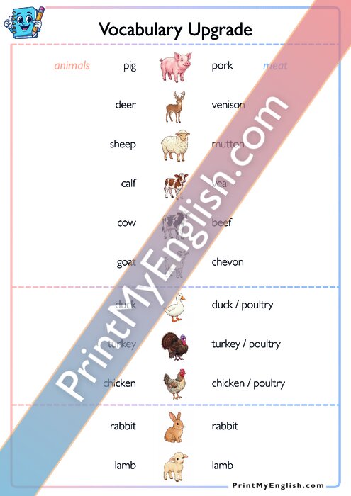 Vocabulary Upgrade - Animals and Meat