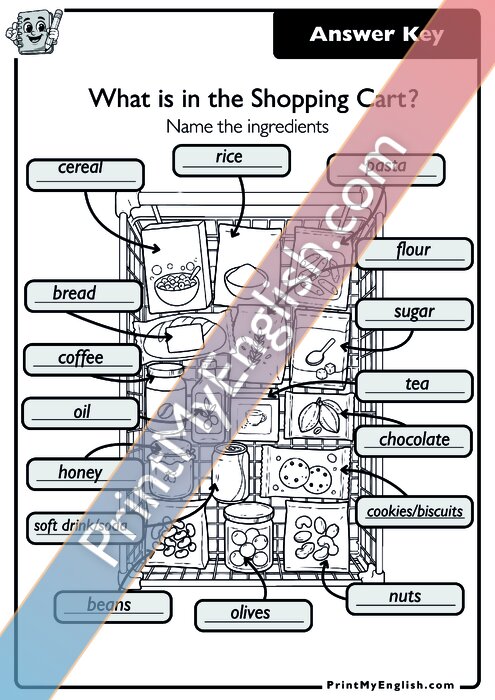 Answer key