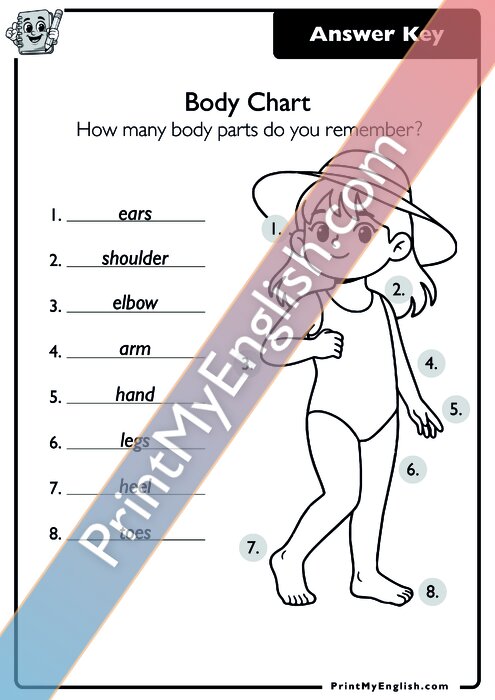 Answer key